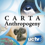Logo of the podcast CARTA - Anthropogeny (Audio) Podcast CARTA - Anthropogeny (Audio)