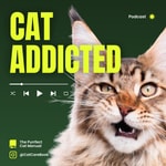 Logo of the podcast Cat Addicted Podcast Cat Addicted