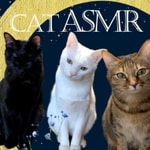 Logo of the podcast Cat ASMR【eating,purring,grooming】 Podcast Cat ASMR【eating,purring,grooming】