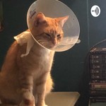 Logo of the podcast Catnip and Xanax Podcast Catnip and Xanax