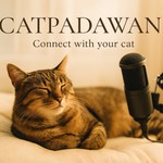 Logo of the podcast CatPadawan, donde conectamos con los gatos Podcast CatPadawan, donde conectamos con los gatos