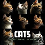 Logo of the podcast Cats Podcast Cats