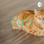 Logo of the podcast Cats Podcast Cats