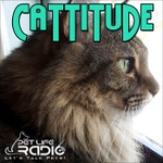 Logo of the podcast Cattitude - The #1 Cat Podcast Podcast Cattitude - The #1 Cat Podcast