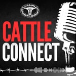 Logo of the podcast Cattle Connect Logo of the podcast Cattle Connect