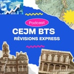 Logo of the podcast CEJM.fr Révisions Express CEJM au BTS - CULTURE ECONOMIQUE JURIDIQUE MANAGERIALE Podcast CEJM.fr Révisions Express CEJM au BTS - CULTURE ECONOMIQUE JURIDIQUE MANAGERIALE