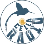 Logo of the podcast Cellaradio Podcast Cellaradio