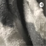 Podcast Censorship