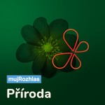 Logo of the podcast Český rozhlas - Příroda Podcast Český rozhlas - Příroda