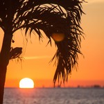 Logo of the podcast Chabad of Miami Beach - Rise with the sun Podcast Chabad of Miami Beach - Rise with the sun