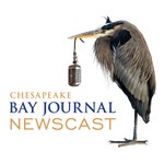 Logo of the podcast Chesapeake Bay Journal Newscast Podcast Chesapeake Bay Journal Newscast