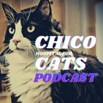 Logo of the podcast Chico (Hospital for) Cats Podcast Podcast Chico (Hospital for) Cats Podcast