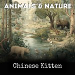 Logo of the podcast Chinese Kitten Podcast Chinese Kitten