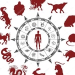 Logo of the podcast Chinese Zodiac Podcast Chinese Zodiac