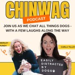 Chinwag Dog Podcast Podcast Chinwag Dog Podcast