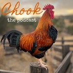 Logo of the podcast Chook. The Podcast Podcast Chook. The Podcast