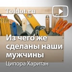 Logo of the podcast Ципора Харитан — Из чего же сделаны наши мужчины Podcast Ципора Харитан — Из чего же сделаны наши мужчины