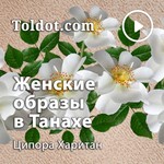 Logo of the podcast Ципора Харитан — Женские образы в Танахе: проекция в современность Podcast Ципора Харитан — Женские образы в Танахе: проекция в современность