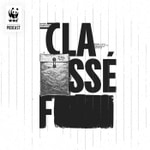 Logo of the podcast Classé-F Podcast Classé-F