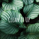Clean It Up Podcast Clean It Up