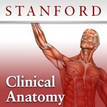 Logo of the podcast Clinical Anatomy Podcast Clinical Anatomy
