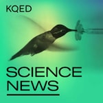 Logo of the podcast Close All Tabs Podcast Close All Tabs