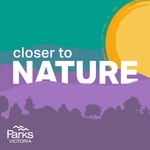Logo of the podcast Closer to Nature Podcast Closer to Nature
