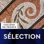 Logo of the podcast Collège de France - Sélection Podcast Collège de France - Sélection
