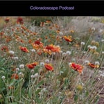 Logo of the podcast Coloradoscape: The Official Wild Ones Front Range Podcast Missing podcast logo