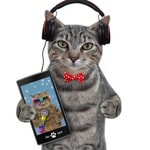 Logo of the podcast Comedy! Life with Bucky - World’s Funniest Cat ! Podcast Comedy! Life with Bucky - World’s Funniest Cat !