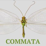Logo of the podcast Commata: Communication Theory and Research Podcast Commata: Communication Theory and Research