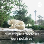 Logo of the podcast Comment le changement climatique affecte les ours polaires Podcast Comment le changement climatique affecte les ours polaires