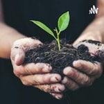 Podcast Comment Planter Un Arbre 🌲 ???? Et Qu'elle est L'importance De L'arbre ??