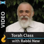 Logo of the podcast Commentaries on the Torah Podcast Commentaries on the Torah