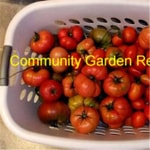 Logo of the podcast Community Garden Revolution Podcast Community Garden Revolution