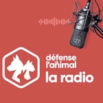 Logo of the podcast Confédération Défense de l'animal-La Radio Podcast Confédération Défense de l'animal-La Radio