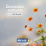 Logo of the podcast Connexion Nature Podcast Connexion Nature