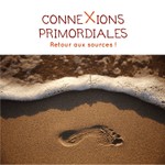 Connexions primordiales : réflexes archaïques, IMP, mouvement, apprentissage Podcast Connexions primordiales : réflexes archaïques, IMP, mouvement, apprentissage