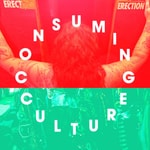 Logo of the podcast Consuming Culture Podcast Consuming Culture