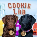 Logo of the podcast Cookie Lab Podcast Cookie Lab