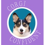 Logo of the podcast Corgi Confident Podcast Corgi Confident