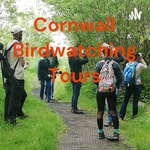Logo of the podcast Cornwall Birdwatching Tours Podcast Cornwall Birdwatching Tours