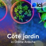 Logo of the podcast Côté jardin, ICI Drôme Ardèche Missing podcast logo