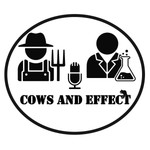 Podcast Cows and Effect
