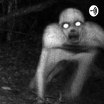 Logo of the podcast Creepypasta Stories Podcast Creepypasta Stories
