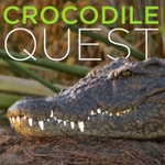 Logo of the podcast Crocodile Quest (HD) Podcast Crocodile Quest (HD)