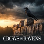 Podcast Crows and Ravens