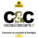 Logo of the podcast Cuccioli&Crocchette: crescere un cucciolo di cane in famiglia. Storie, consigli, alimentazione sana. Podcast Cuccioli&Crocchette: crescere un cucciolo di cane in famiglia. Storie, consigli, alimentazione sana.