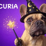 Logo of the podcast Curia Podcast Curia