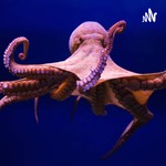 Podcast Curiosidades de los animales marinos